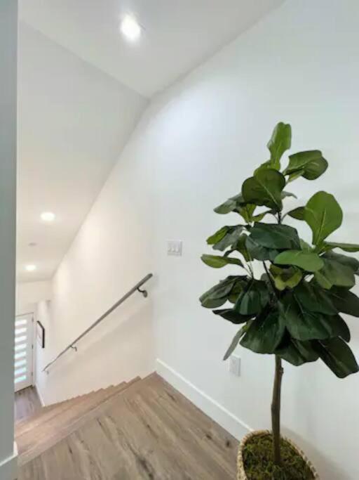 4Br Townhouse In Koreatown Los Angeles Exterior photo
